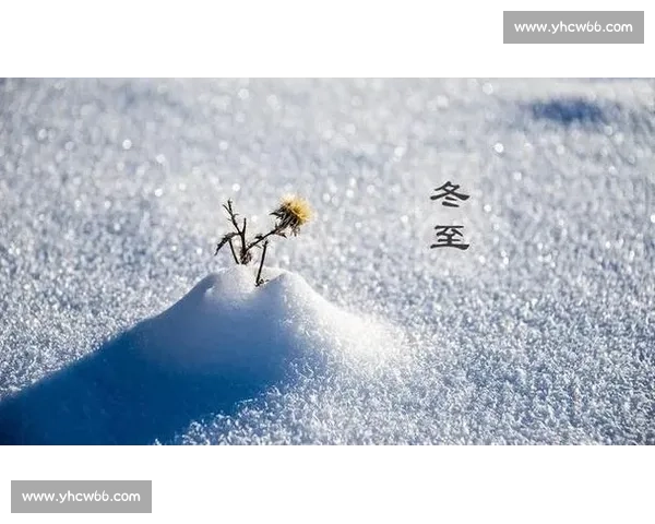 冬至时节万物静候阳生细数寒冬中蕴藏的温暖与希望