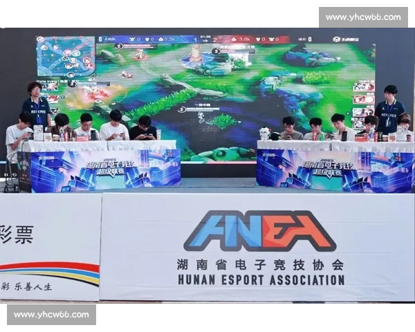 数字体育新篇章:电竞职业化,一场关于规则与尊严的探索