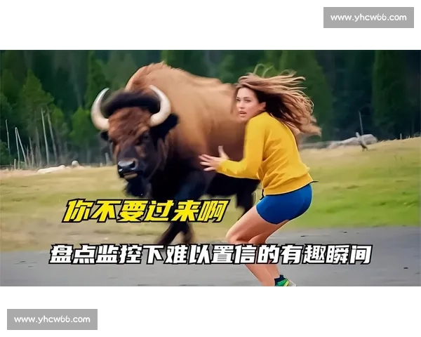 赛事花絮！镜头外那些有趣的瞬间，直播为你一一揭秘！